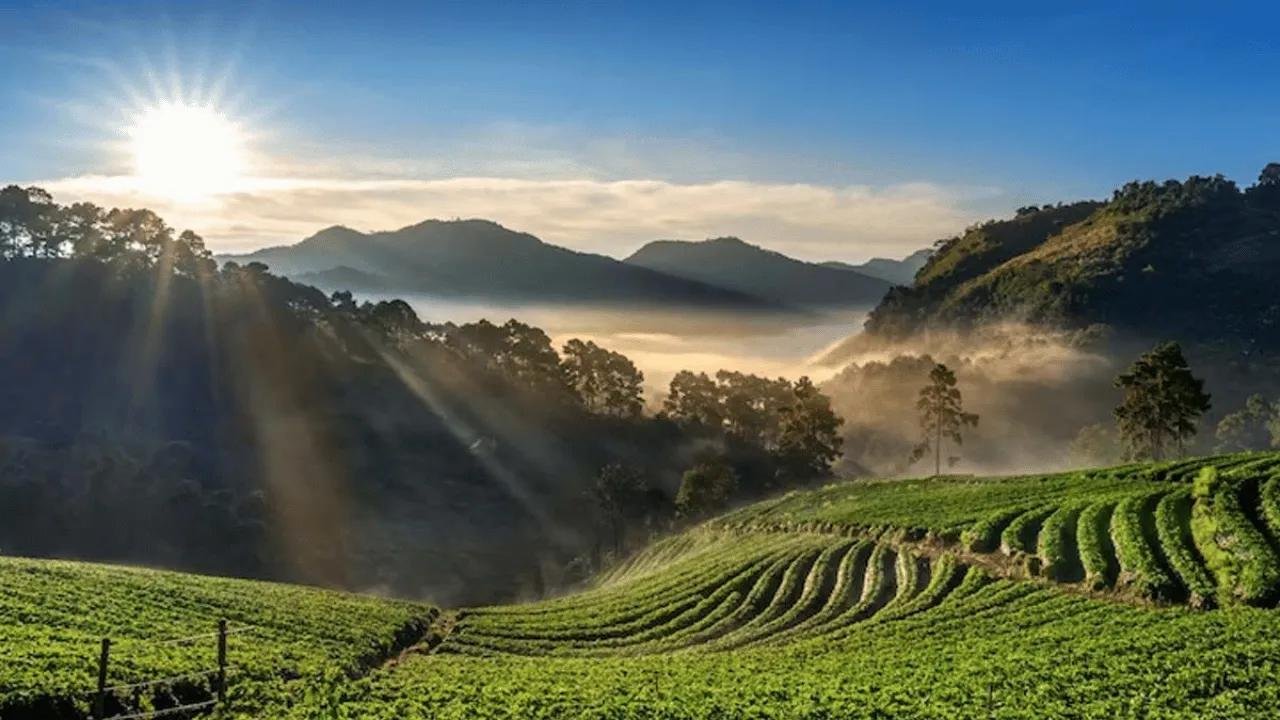 Assam and Meghalaya