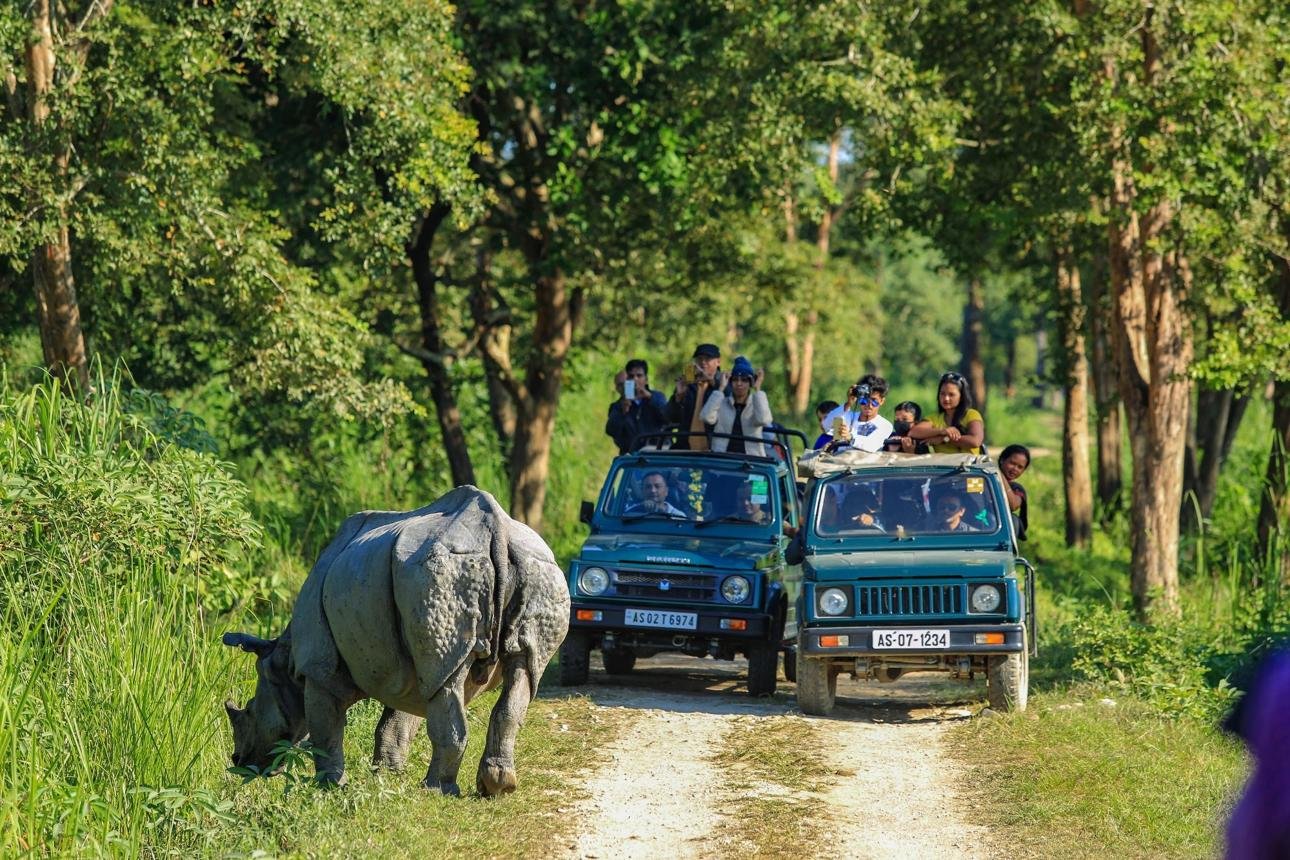 Assam and Meghalaya